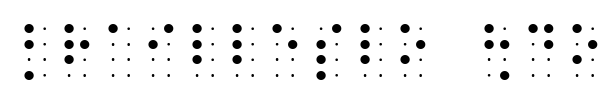 BrailleSlo 8dot font preview
